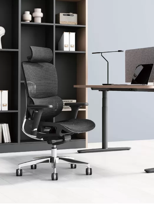 Ergonomic 1018D