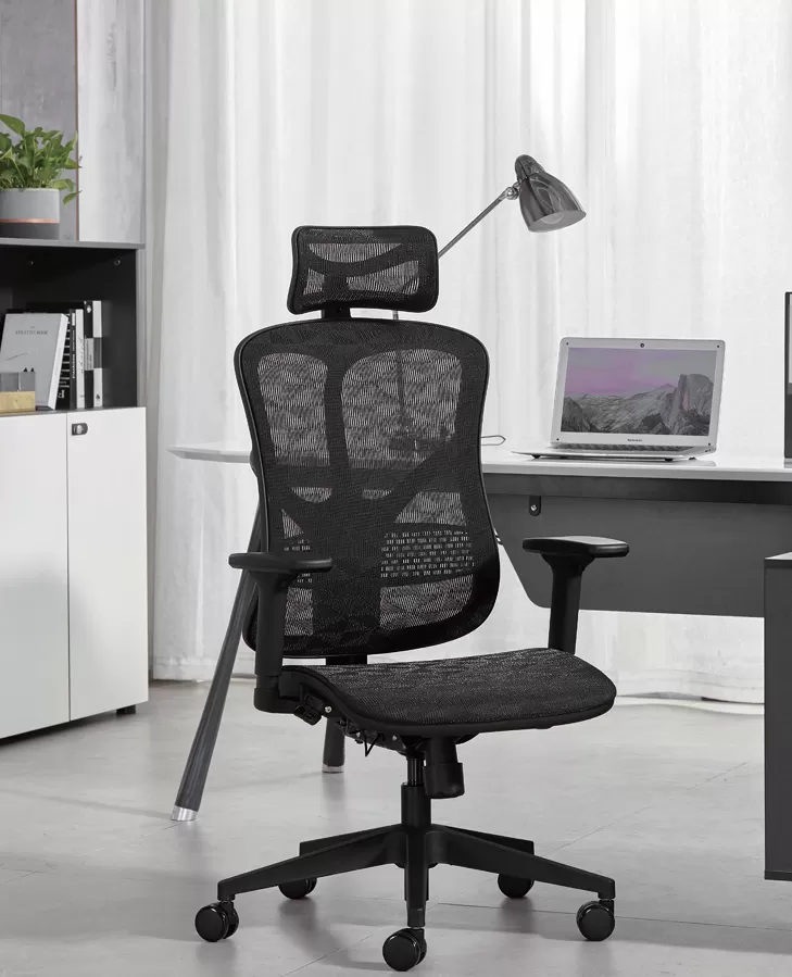 Functional 521
